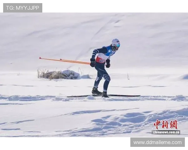 越野滑雪穿越林海雪原的意志力